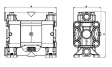 Load image into Gallery viewer, P7 - Diaphragm Pump
