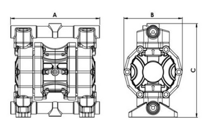 P55 - Diaphragm Pump