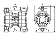 Load image into Gallery viewer, P55 - Diaphragm Pump
