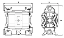 Load image into Gallery viewer, P30 - Diaphragm Pump
