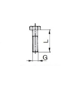 Stauff Standard Series Hexagon Head Bolt Type AS