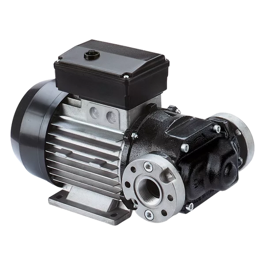 Piusi E80/E120 Electric Fuel Transfer Pump