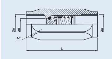 MP 316 Stainless Steel Check Valves